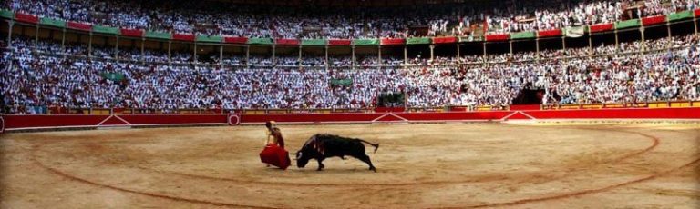 Pamplona Bullfights | Bullfighting in Pamplona | Running of the Bulls